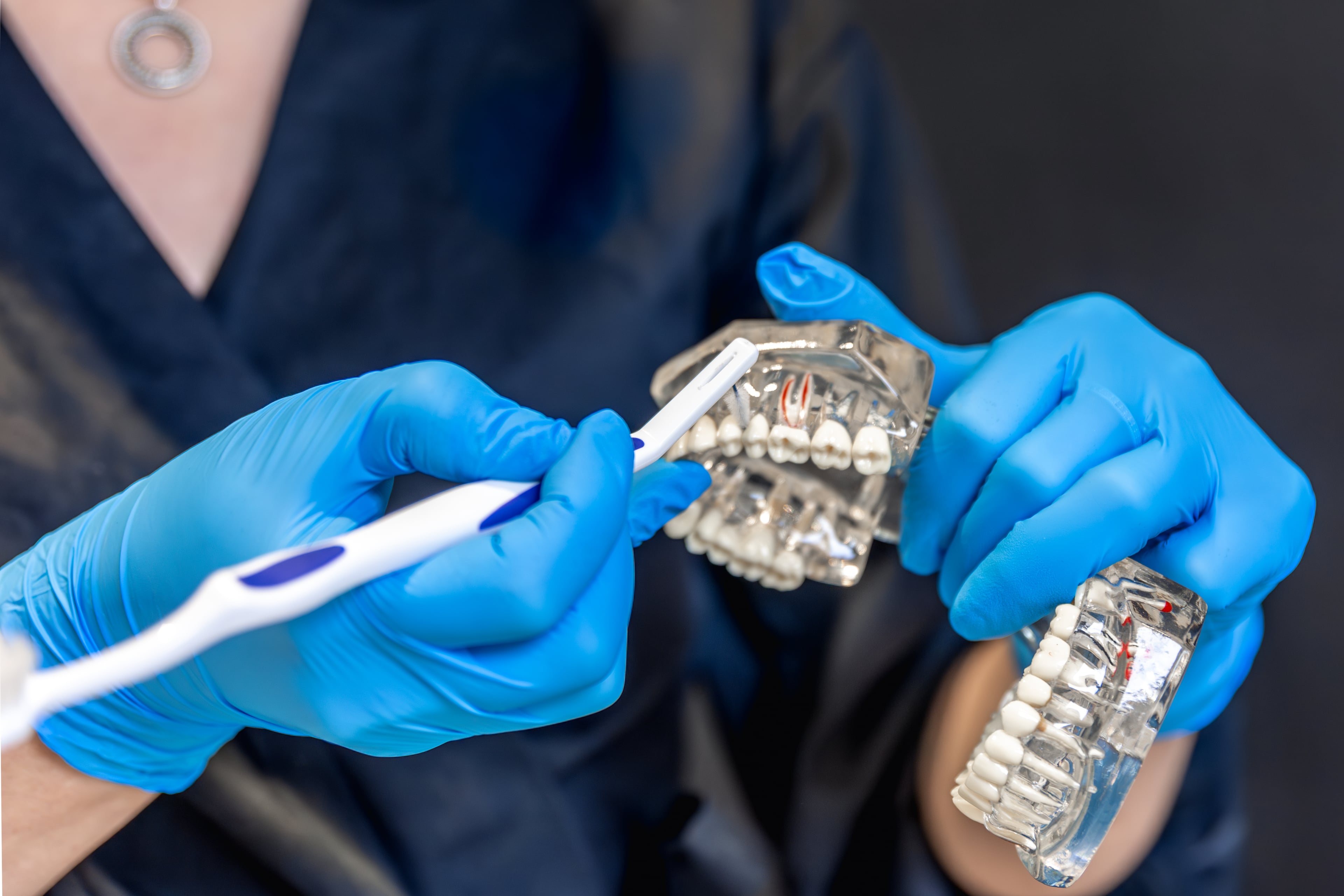 female-dentist-holding-dental-model-hands-concept-dentistry-dental-treatment
